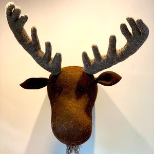 Fiona Walker Moose Head